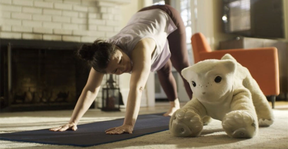 A woman exercises at home beside an AI-powered robotic companion designed for everyday household interaction.